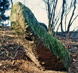 Der Lochstein Groachleitner 