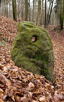 Lochstein im Reinprechtwald