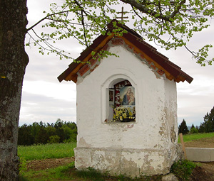 Die Goaeder Kapelle in der Ortschaft Unterhart