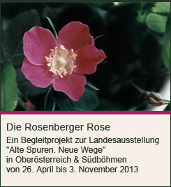Die Rosenberger Rose. Projekt zur Landesausstellung 2013 – Alte Spuren. Neue Wege