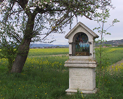 Schiffsmühle in Von Herrschaften und Höfen: Lichtenberger in Freudenstein