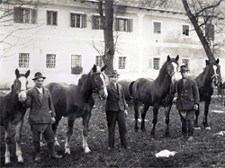 Rossknechte am Haslingerhof