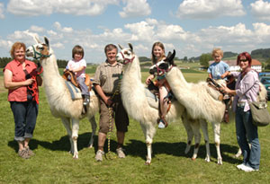 Die leisen Lamas in Eidenberg (9)