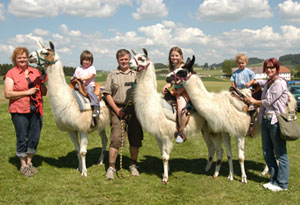 Die leisen Lamas in Eidenberg (9)